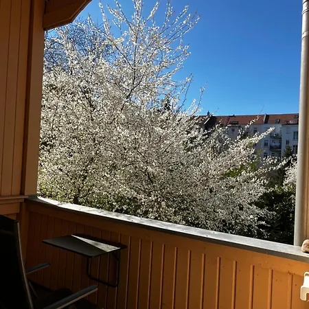 Stilvolles Quartier In Zentrumsnaehe Séjour chez l'habitant *